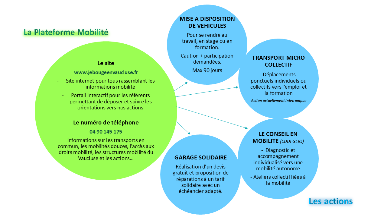 Organigramme plateforme mobilité